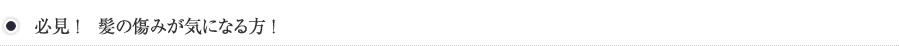 必見 ！　髪の傷みが気になる方 ！