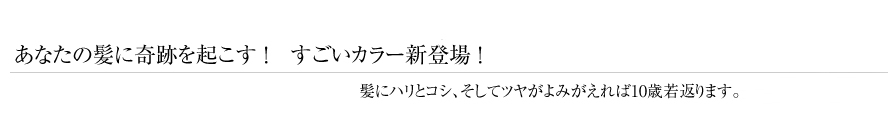 あなたの髪に奇跡を起こす ! すごいカラー新登場 !髪にハリとコシ、そしてツヤがよみがえれば10歳若返ります。 アクアカラー ご新規のお客様限定 20%OFF