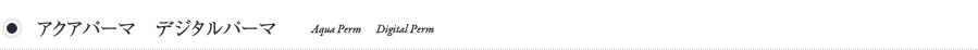 アクアパーマ　デジタルパーマ